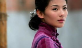 刘涛演的电视剧,情感纠葛与成长蜕变